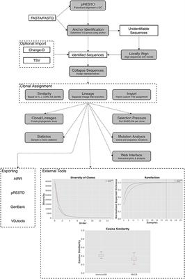 ImmuneDB, a Novel Tool for the Analysis, Storage, and Dissemination of Immune Repertoire Sequencing Data